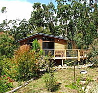 Southern Forest Accommodation - Kempsey Accommodation