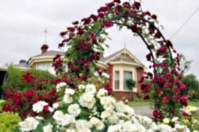 Golden Embers Apartments And B And B - Kempsey Accommodation 0
