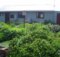 Engadine Cottage - Kempsey Accommodation