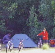 Maria Island Camping Ground - Kempsey Accommodation