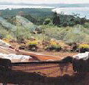 Morella Island Retreats P/L - Kempsey Accommodation