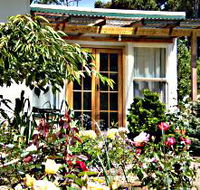 Thelma Retreat - Kempsey Accommodation