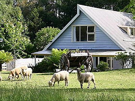 Hide-Away Cottage Retreat - Kempsey Accommodation 0