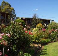 Mole Creek Holiday Village - Kempsey Accommodation