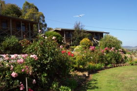 Mole Creek Holiday Village - Kempsey Accommodation 0