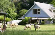 Hide-Away Cottage Retreat - Kempsey Accommodation 2