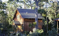 Cradle Mountain Highlanders - Kempsey Accommodation 1