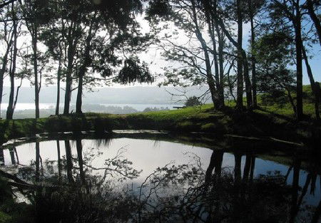 Camellia Cottage At Maple Hill - Kempsey Accommodation 2