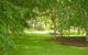 Camellia Cottage At Maple Hill - thumb 3