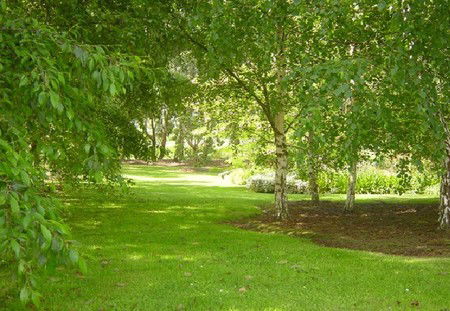 Camellia Cottage At Maple Hill - Kempsey Accommodation 3