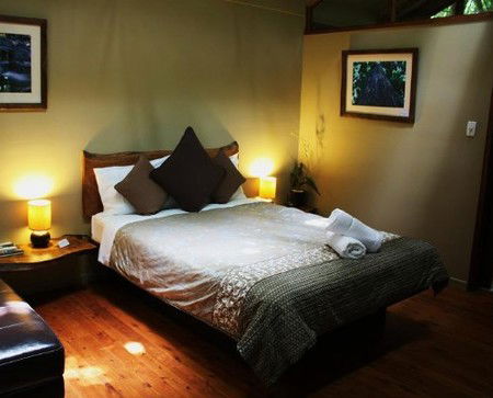 Daintree Wilderness Lodge - Kempsey Accommodation 2