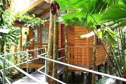 Daintree Wilderness Lodge - Kempsey Accommodation 3