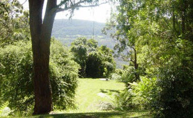 Red Dog Retreat - Kempsey Accommodation 1