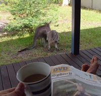 Bush and Bay Cottage - Kempsey Accommodation