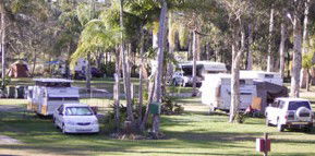 Brigadoon Holiday Park - Kempsey Accommodation 2
