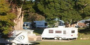 Bellinger River Tourist Park - Kempsey Accommodation 3