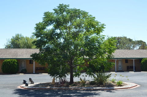 Hilltops Retreat Motor Inn - Kempsey Accommodation 6