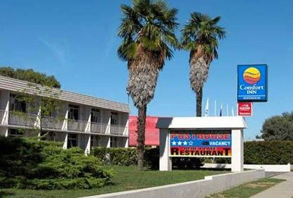Comfort Inn Posthouse - Kempsey Accommodation 0