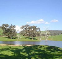 Hillview Farmstay - Kempsey Accommodation