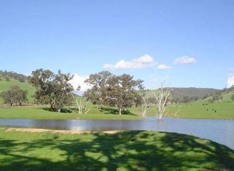 Hillview Farmstay - Kempsey Accommodation 0