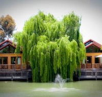 Perricoota Vines Retreat - Kempsey Accommodation