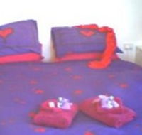 Aloomba Lavender - Accommodation - Kempsey Accommodation