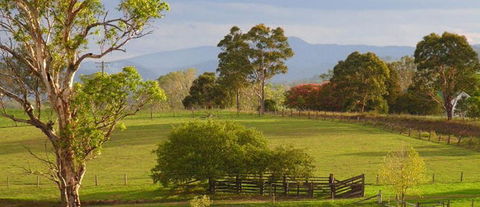 Barrington Village Retreat Bed And Breakfast - Kempsey Accommodation 1