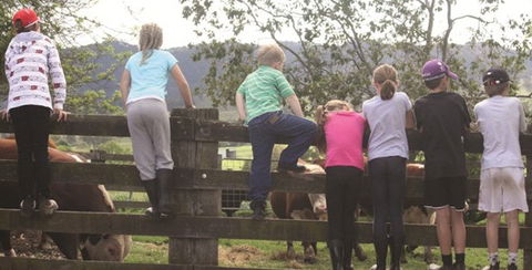 Ashmar Farm Stay - Kempsey Accommodation 4
