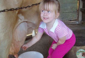 Ashmar Farm Stay - Kempsey Accommodation 5