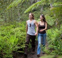 Blackheath Glen Tourist Park - Kempsey Accommodation