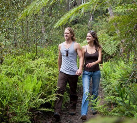 Blackheath Glen Tourist Park - Kempsey Accommodation 0
