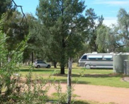 Camp Cypress Ltd - Kempsey Accommodation 2