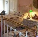 A Winter-Rose Cottage Bed and Breakfast - Kempsey Accommodation