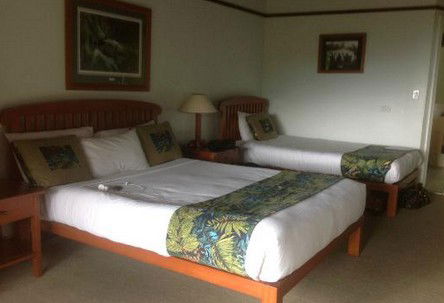 OReillys Rainforest Retreat - Kempsey Accommodation 5