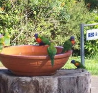 Lamb Island Bed and Breakfast