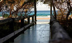 Anchorage Beachfront Island Resort - Kempsey Accommodation 4