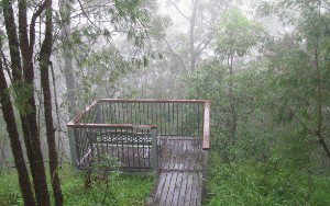 Eagles Rest Retreat - Kempsey Accommodation 4