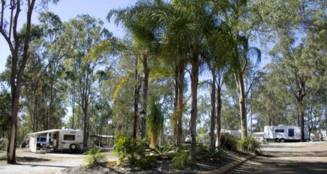 Barambah Bush Caravan Park - Kempsey Accommodation 1