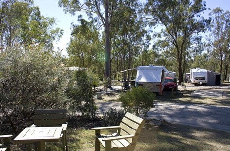 Barambah Bush Caravan Park - Kempsey Accommodation 3