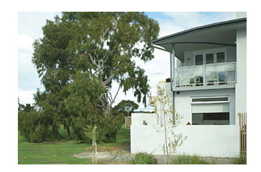 Clifton Hill VIC Kempsey Accommodation