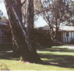 Winbi River Resort - Kempsey Accommodation