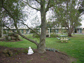 The Gold Sovereign Motor Inn - Kempsey Accommodation 0