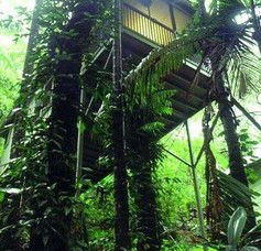 Daintree Eco Lodge And Spa - Kempsey Accommodation 1