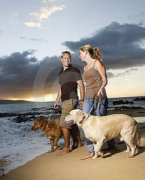 Four Seasons Holiday Park - Kempsey Accommodation 3