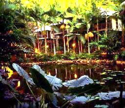 Daintree Eco Lodge And Spa - Kempsey Accommodation 3