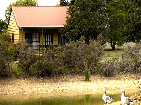 Mountain View Motor Inn And Holiday Lodges - Kempsey Accommodation 2