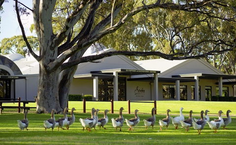 Serafino McLaren Vale - Kempsey Accommodation 0