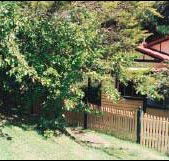 Apple Tree Cottage - Kempsey Accommodation