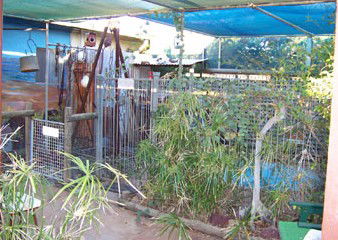 Safari Lodge Motel - Kempsey Accommodation 1