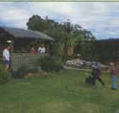 Tambo Lodge - Kempsey Accommodation